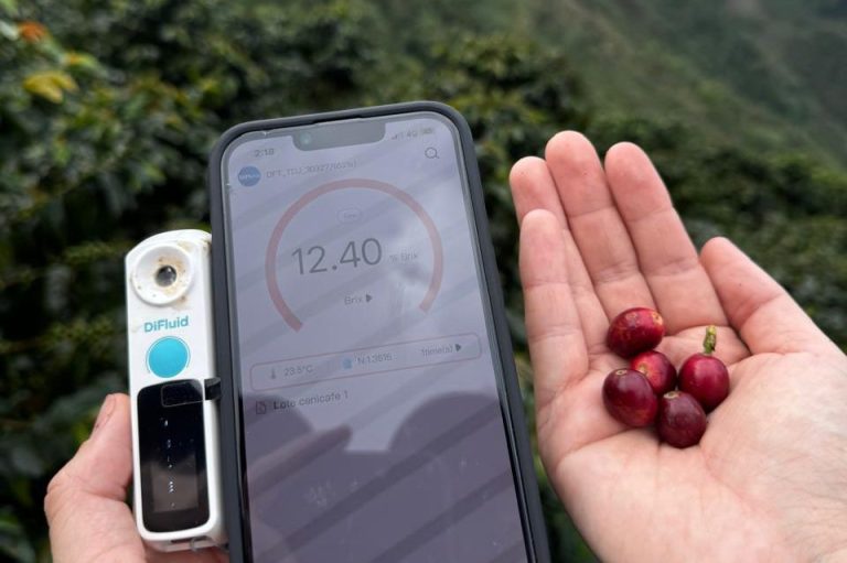 Hand hält Kaffeekirschen neben einem Smartphone mit Aktivitätsanzeige.